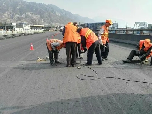 永善道路桥梁病害治理